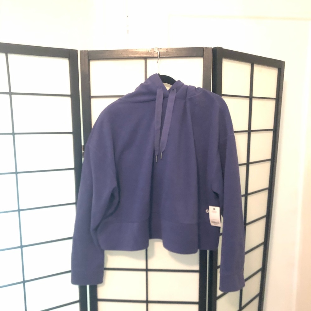 Purple Cropped Boxy Hoodie